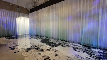 モネ　睡蓮のときに投稿された画像（2025/4/24）