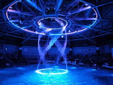 マクセル アクアパーク品川に投稿された画像（2025/4/24）