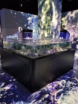 マクセル アクアパーク品川に投稿された画像（2025/4/24）