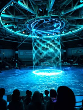 マクセル アクアパーク品川に投稿された画像（2025/4/24）