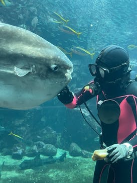 下田海中水族館に投稿された画像（2025/4/24）