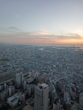 ハルカス300(展望台)に投稿された画像（2025/4/25）