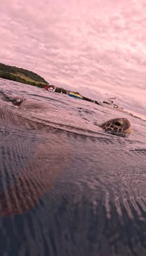  マリンショップHAPPYに投稿された画像（2025/4/25）