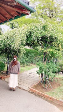 グラバー園に投稿された画像（2025/4/25）