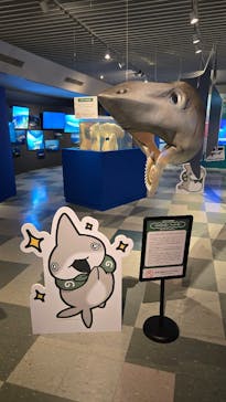 マリンワールド海の中道に投稿された画像（2025/4/25）