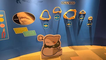 マリンワールド海の中道に投稿された画像（2025/4/25）