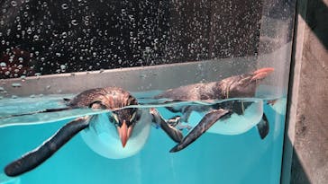 AOAO SAPPOROに投稿された画像（2025/4/25）