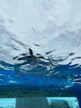 サンシャイン水族館に投稿された画像（2025/4/25）