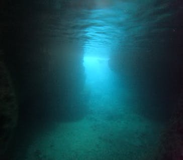 沖縄マリンサービス碧に投稿された画像（2025/4/25）