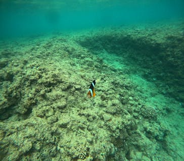 沖縄マリンサービス碧に投稿された画像（2025/4/25）