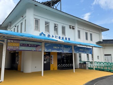 のとじま水族館に投稿された画像（2025/4/25）