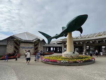 沖縄美ら海水族館に投稿された画像（2025/4/25）