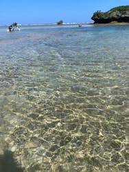 MalDive（モルダイブ）に投稿された画像（2025/4/25）
