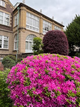 鳩山会館に投稿された画像（2025/4/25）