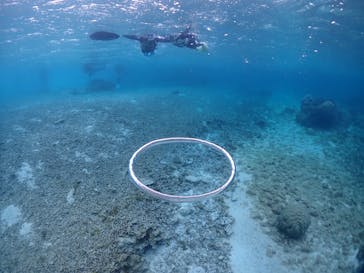 宮古島マリンショップSmileyに投稿された画像（2025/4/25）