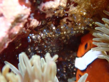 宮古島マリンショップSmileyに投稿された画像（2025/4/25）