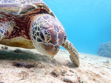 宮古島マリンショップSmileyに投稿された画像（2025/4/25）