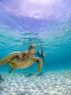 宮古島マリンショップSmileyに投稿された画像（2025/4/25）