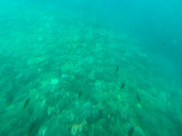 ウエストマリンに投稿された画像（2025/4/25）