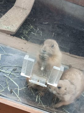 横浜・八景島シーパラダイスに投稿された画像（2025/4/25）