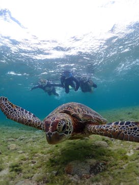 宮古島マリンショップSmileyに投稿された画像（2025/4/25）