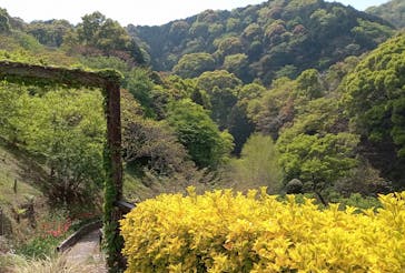 ACAO FORESTに投稿された画像（2025/4/25）