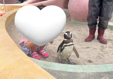 大分マリーンパレス水族館 「うみたまご」に投稿された画像（2025/4/25）