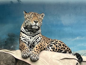 天王寺動物園に投稿された画像（2025/4/25）