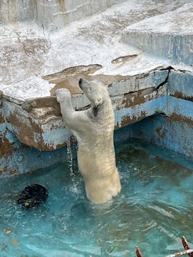 天王寺動物園に投稿された画像（2025/4/25）