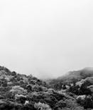 足立美術館に投稿された画像（2025/4/25）