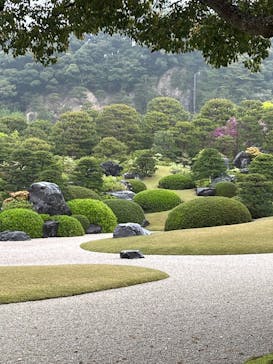 足立美術館に投稿された画像（2025/4/25）