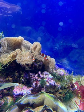 名古屋港水族館に投稿された画像（2025/4/25）