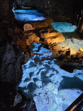 おきなわワールドに投稿された画像（2025/4/25）