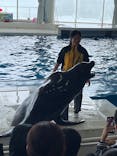 アクアワールド茨城県大洗水族館に投稿された画像（2025/4/26）