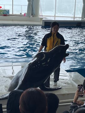 アクアワールド茨城県大洗水族館に投稿された画像（2025/4/25）