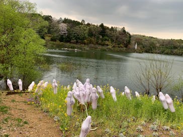 ムーミンバレーパークに投稿された画像（2025/4/25）