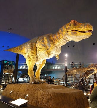 福井県立恐竜博物館に投稿された画像（2025/4/25）