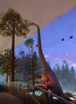 福井県立恐竜博物館に投稿された画像（2025/4/25）