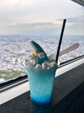 横浜ランドマークタワー 69階展望フロア スカイガーデンに投稿された画像（2025/4/26）