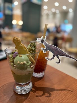 福井県立恐竜博物館に投稿された画像（2025/4/26）