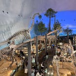 福井県立恐竜博物館に投稿された画像（2025/4/26）