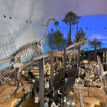 福井県立恐竜博物館に投稿された画像（2025/4/26）