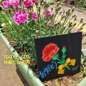 NOANOA CHALKART WORKS 大阪校（ノアノア チョークアート ワークス）に投稿された画像（2025/4/26）