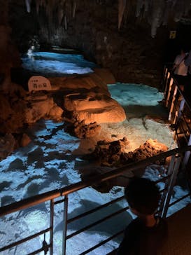 おきなわワールドに投稿された画像（2025/4/26）