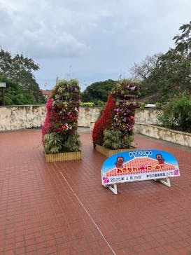 おきなわワールドに投稿された画像（2025/4/26）