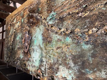 元離宮二条城に投稿された画像（2025/4/26）