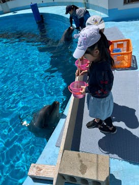 マリンワールド海の中道に投稿された画像（2025/4/26）