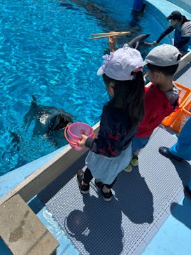 マリンワールド海の中道に投稿された画像（2025/4/26）