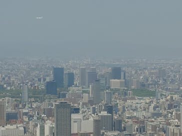 ハルカス300(展望台)に投稿された画像（2025/4/26）