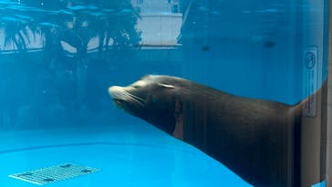 サンシャイン水族館に投稿された画像（2025/4/26）